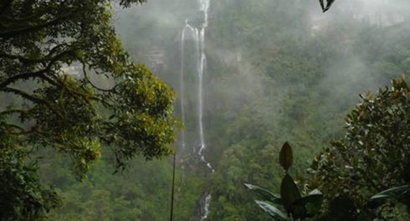 CAMINATA POR LA CHORRERA