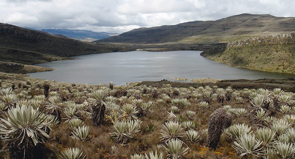 SALIDA AL PÁRAMO DE SUMAPAZ