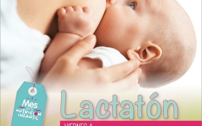 LACTATÓN