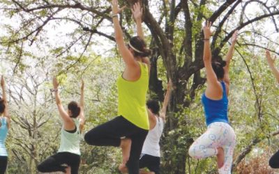 ACTIVATE YOGA