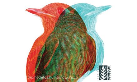 BIOMODELOS