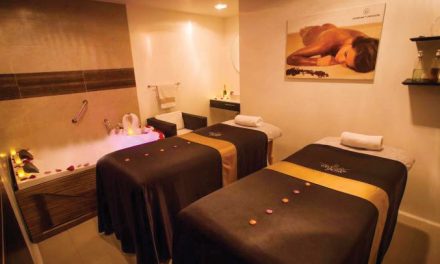 WELLNESS SPA MOVIL