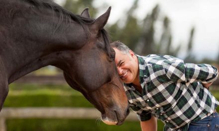 COACHING CON CABALLOS