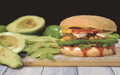 GUÍA RÁPIDA PARA VEGETARIANOS PRINCIPIANTES