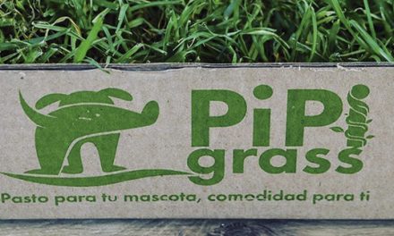 PIPI GRASS