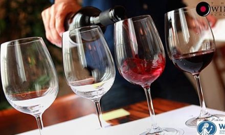 VINOS DE BURDEOS