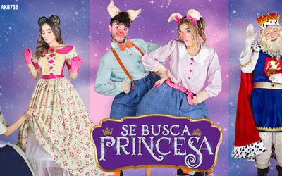 SE BUSCA PRINCESA