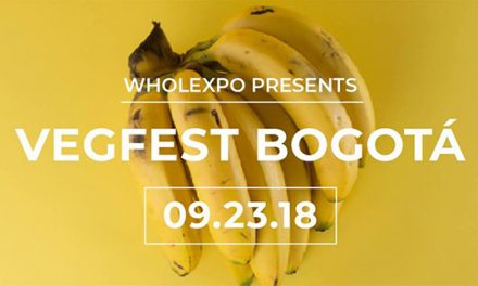 VEGFEST