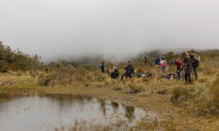 FOTOGRAFÍA DE PAISAJES