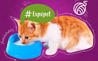 EXPOPET