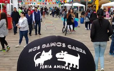 NOS DAMOS GARRA
