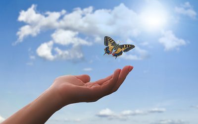 EL BIENESTAR ESPIRITUAL Y MENTAL PARA NUESTROS NIÑOS Y JÓVENES