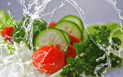 SER VEGETARIANO SIN DESISTIR EN EL INTENTO
