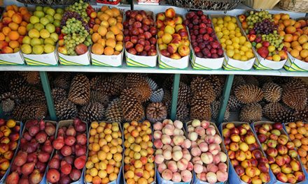 EL TOUR DE LA FRUTA
