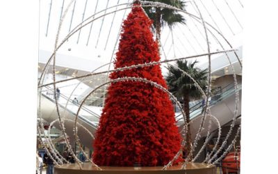 NAVIDAD EN FAMILIA