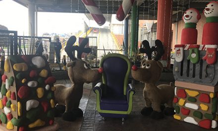 TIEMPO DE CELEBRAR