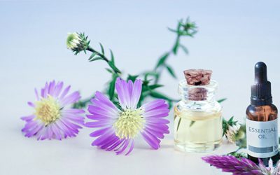 PLANTAS MEDICINALES