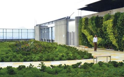 SABANA VERDE EN MEDIO DE LA CIUDAD