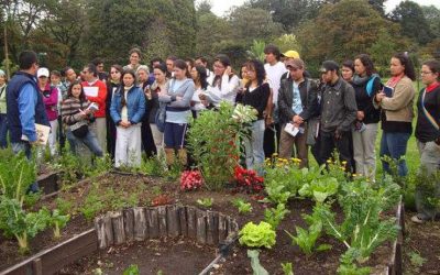 CURSO DE ELABORACIÓN DE PRODUCTOS A PARTIR DE PLANTAS