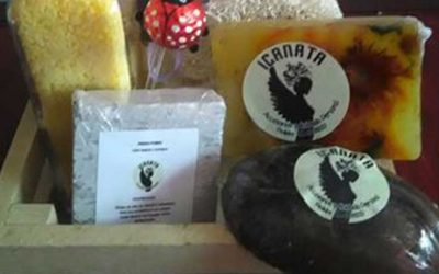 ELABORACIÓN DE PRODUCTOS ZERO WASTE PARA EL CUIDADO PERSONAL