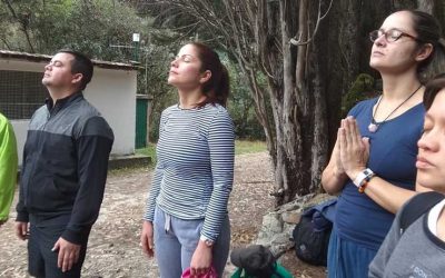 CAMINATAS GRATUITAS