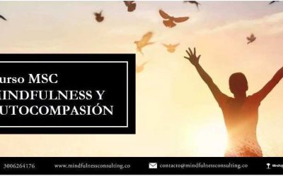 CURSO MSC MINDFULNESS Y AUTOCOMPASIÓN