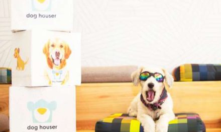 DOG HOUSER