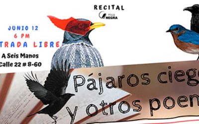 PÁJAROS CIEGOS Y MUCHOS POEMAS