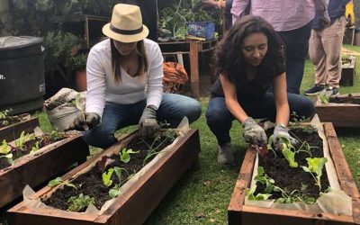 TALLER HUERTA EN CASA