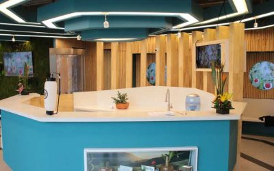 EMPRENDIMIENTO JAPONÉS LLEGA A BOGOTÁ