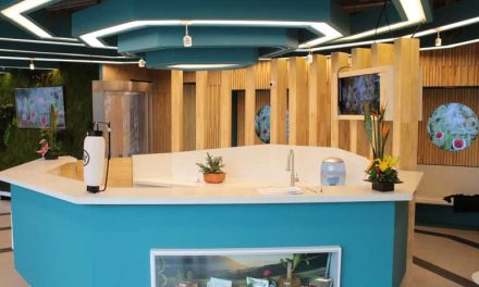 EMPRENDIMIENTO JAPONÉS LLEGA A BOGOTÁ