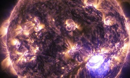 CURSO VACACIONAL DEL PLANETARIO DE BOGOTÁ