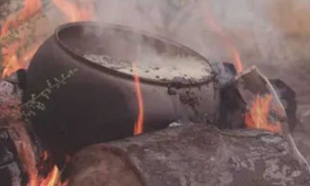 4000 AÑOS DE COCINA