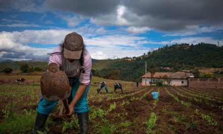EL CAMPO CUENTA