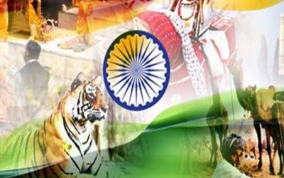 FESTIVAL DE LA INDIA & EXPORGÁNICO