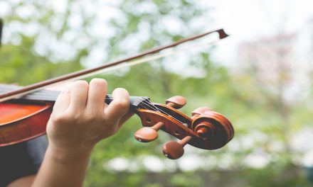 CELEBRA LA MÚSICA