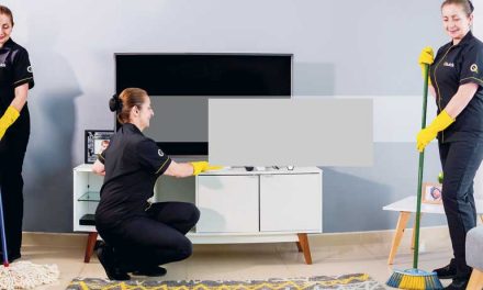 QUICK CLEAN, TODOS LOS SERVICIOS PARA TU HOGAR A UN CLIC DE DISTANCIA