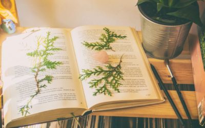 HEROÍNAS: CLUB DE LECTURA