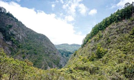 SALIDAS GRATUITAS A LA MONTAÑA