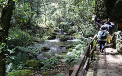 RECORRIDOS QUEBRADA LA VIEJA
