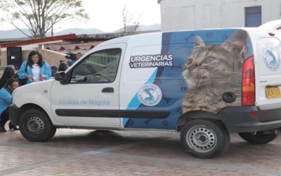 URGENCIAS VETERINARIAS URBANAS