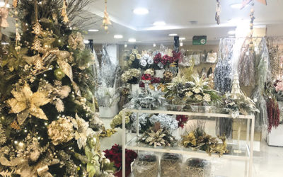 RECORRAMOS LOS EJES DE COMERCIO NAVIDEÑO
