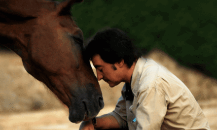 COACHING CON CABALLOS